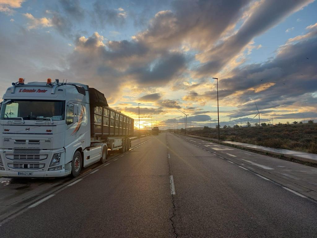 WhatsApp Image 2024 01 12 at 11.40.15 copia